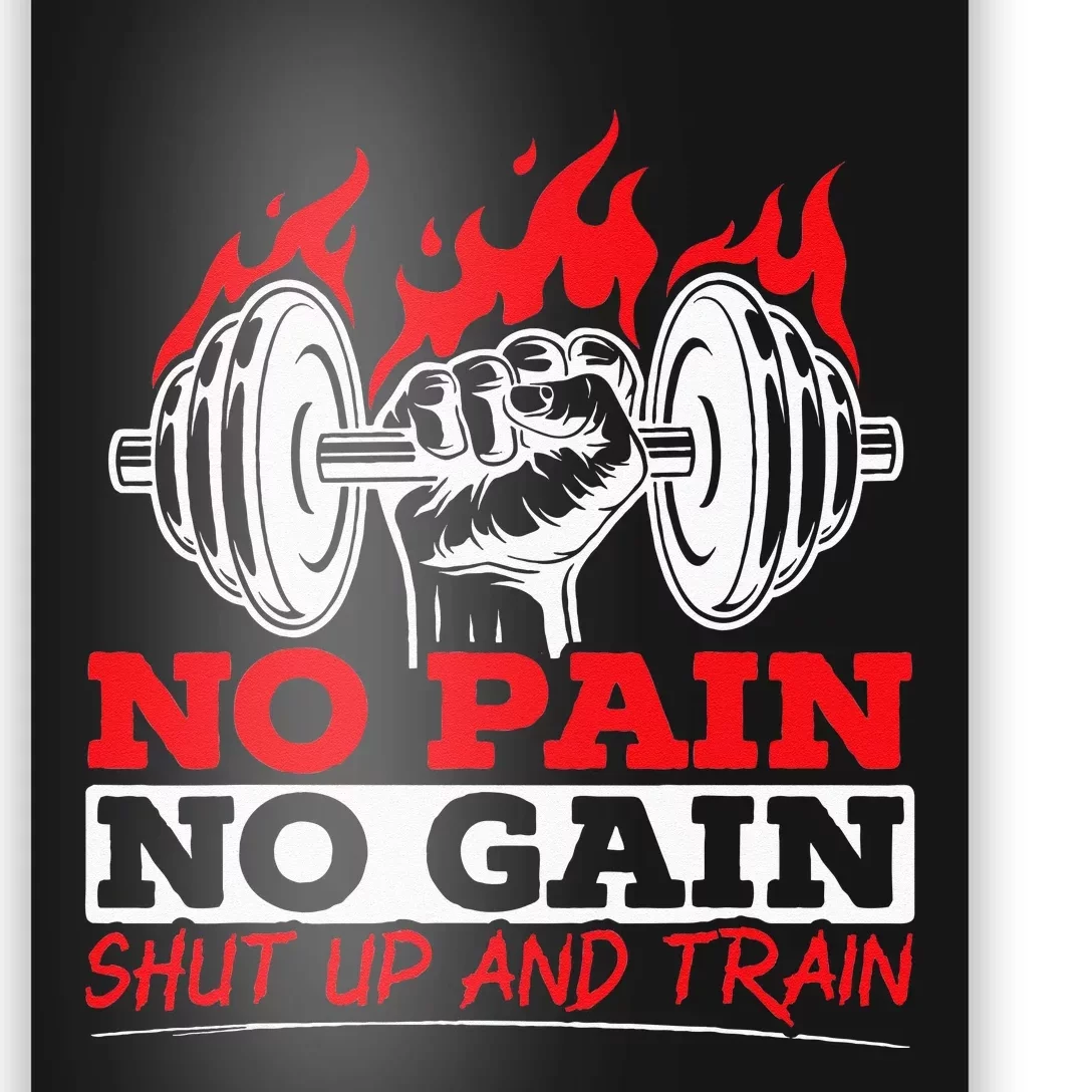 All Pain No Gains Gym Weightlifting Bodybuilding Fitness Poster