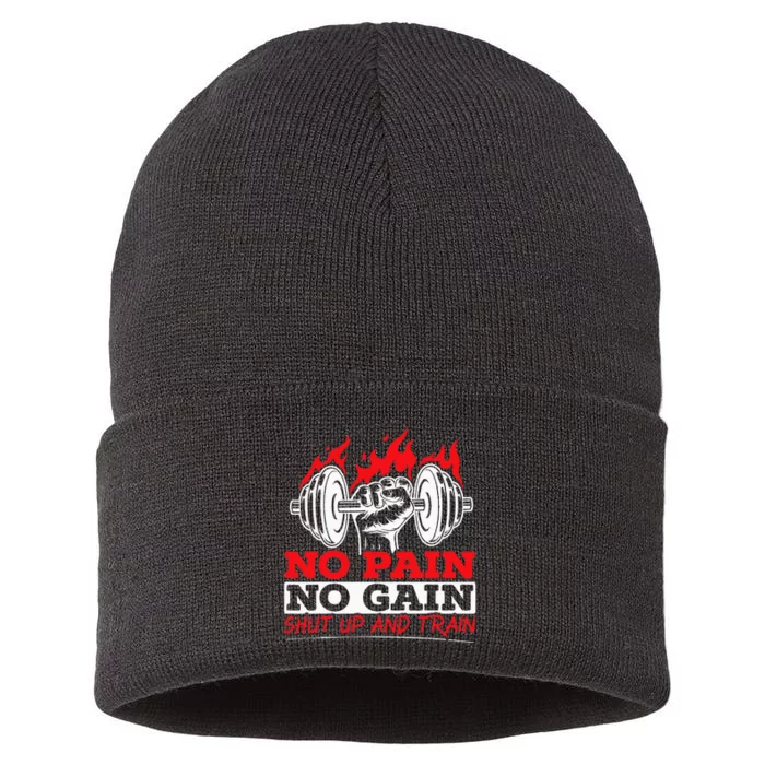 All Pain No Gains Gym Weightlifting Bodybuilding Fitness Sustainable Knit Beanie