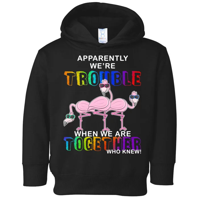 Apparently We're Trouble When We Are Together Toddler Hoodie