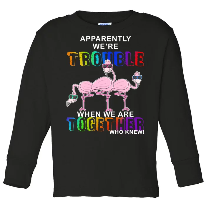 Apparently We're Trouble When We Are Together Toddler Long Sleeve Shirt