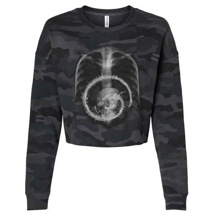 Alien Radiography Cropped Pullover Crew