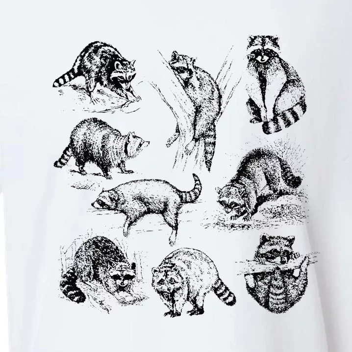 Adorable Raccoon Artwork Charming Wildlife Illustration Sueded Cloud Jersey T-Shirt