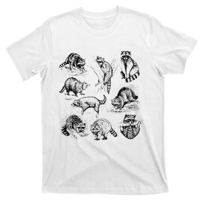 Adorable Raccoon Artwork Charming Wildlife Illustration T-Shirt