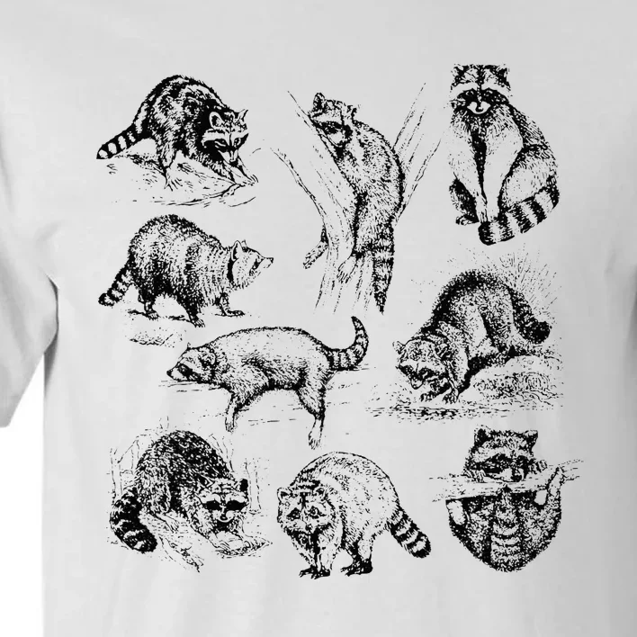 Adorable Raccoon Artwork Charming Wildlife Illustration Tall T-Shirt