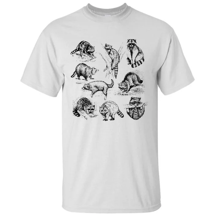 Adorable Raccoon Artwork Charming Wildlife Illustration Tall T-Shirt