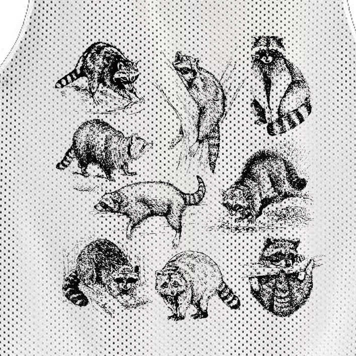 Adorable Raccoon Artwork Charming Wildlife Illustration Mesh Reversible Basketball Jersey Tank