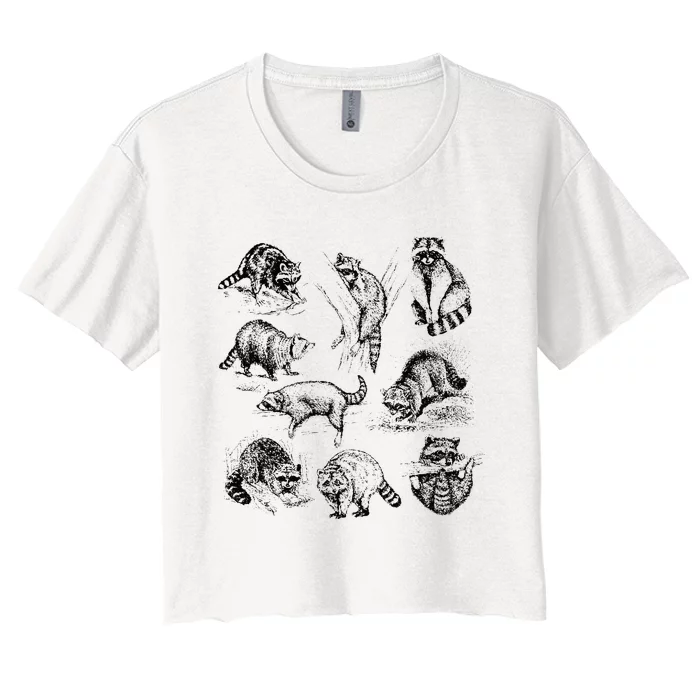 Adorable Raccoon Artwork Charming Wildlife Illustration Women's Crop Top Tee