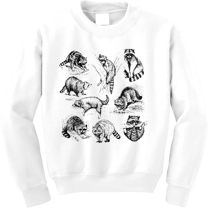 Adorable Raccoon Artwork Charming Wildlife Illustration Kids Sweatshirt