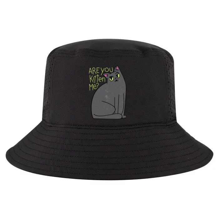 Are You Kitten Me Cool Comfort Performance Bucket Hat