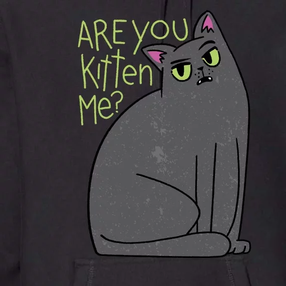 Are You Kitten Me Premium Hoodie