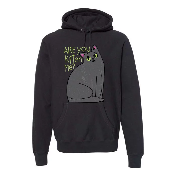 Are You Kitten Me Premium Hoodie