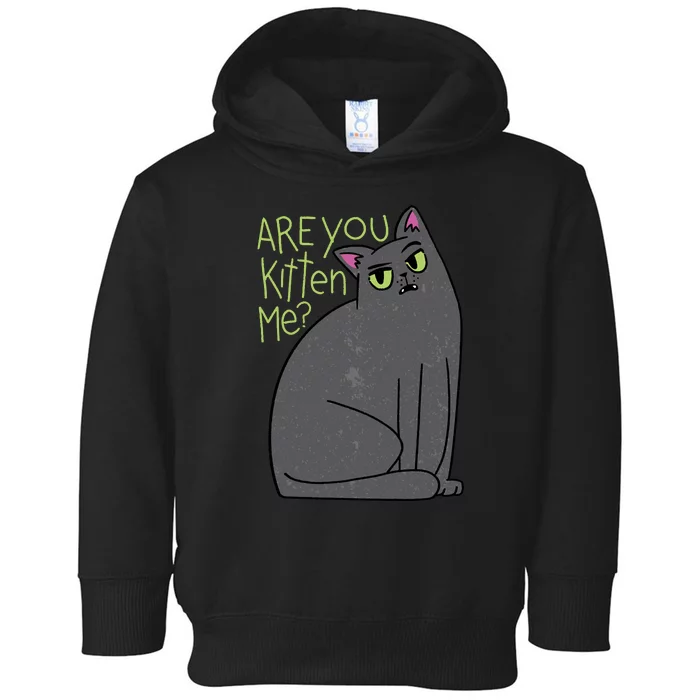 Are You Kitten Me Toddler Hoodie