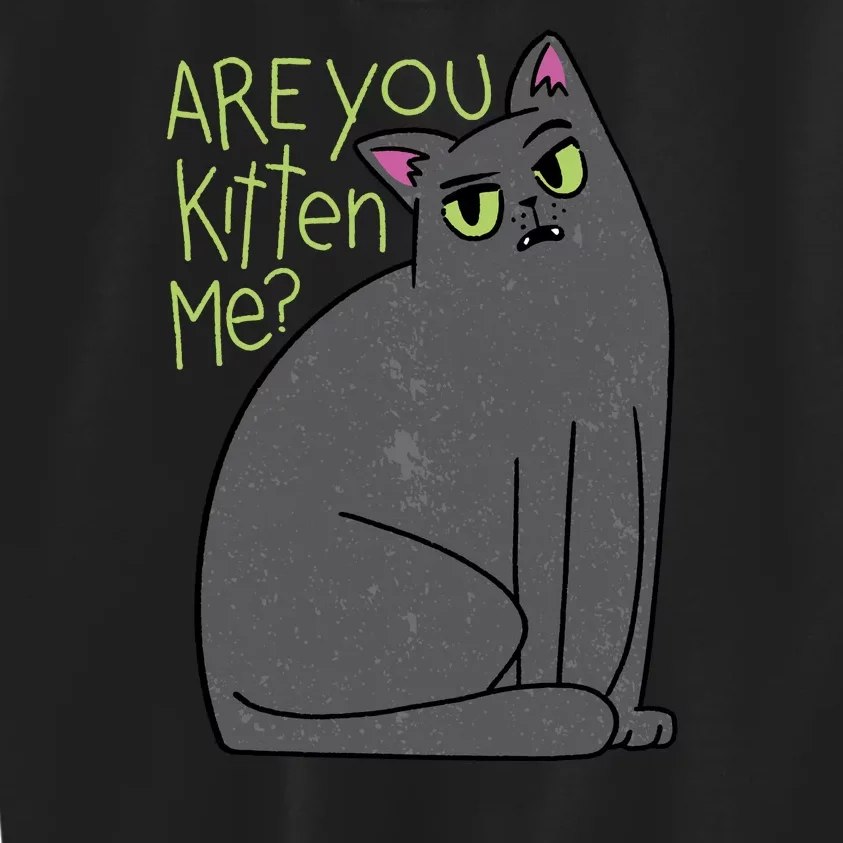 Are You Kitten Me Kids Sweatshirt