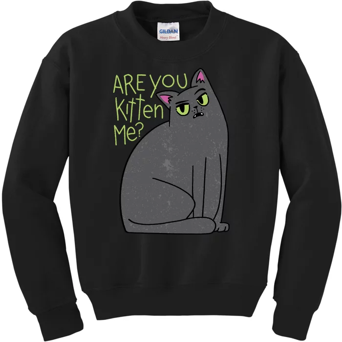 Are You Kitten Me Kids Sweatshirt