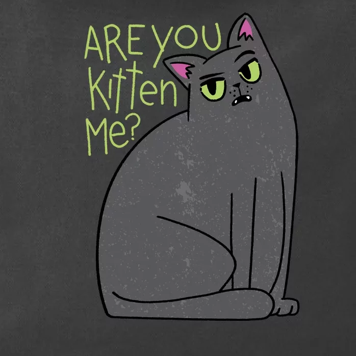 Are You Kitten Me Zip Tote Bag