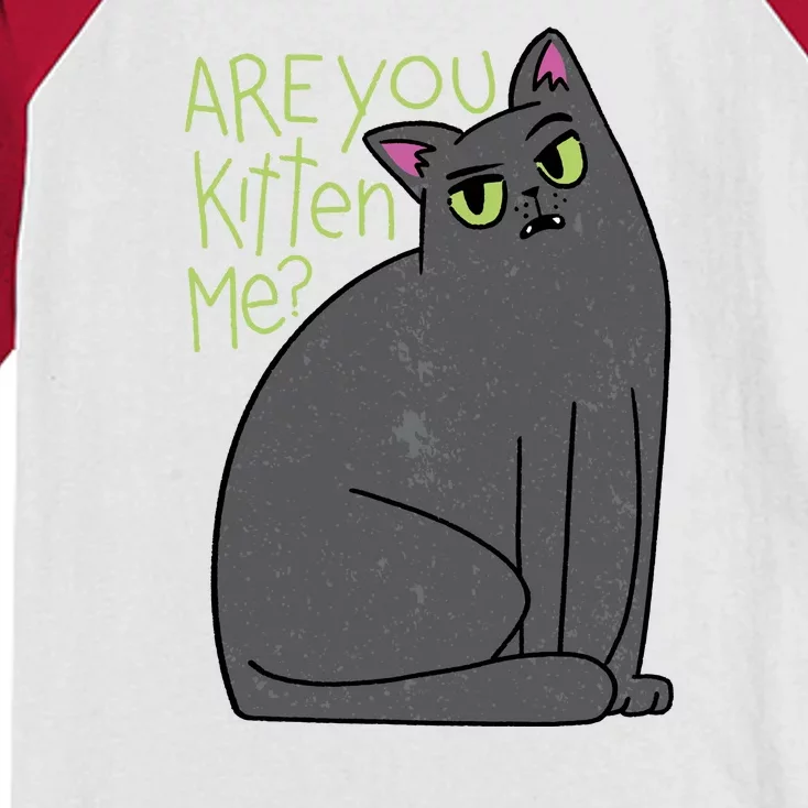 Are You Kitten Me Kids Colorblock Raglan Jersey