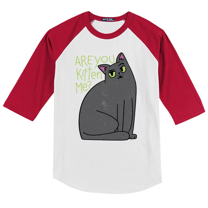 Are You Kitten Me Kids Colorblock Raglan Jersey