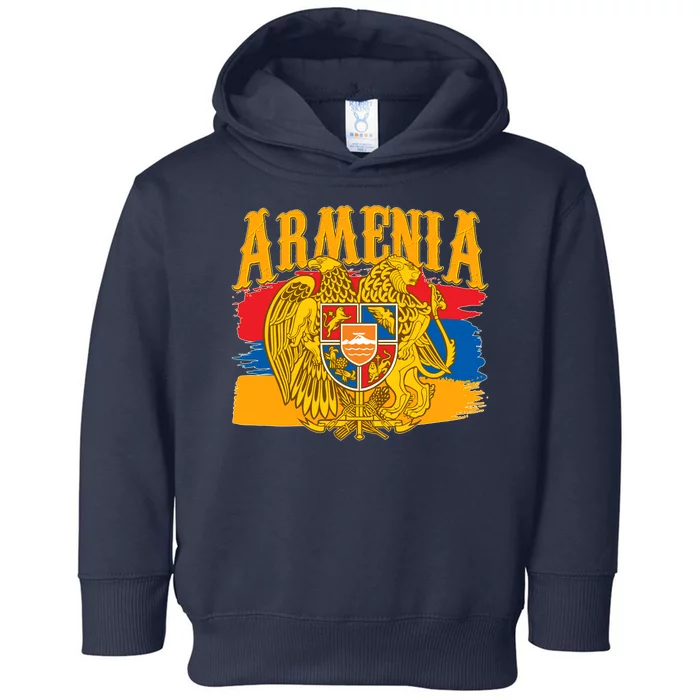 Armenia Flag Crest Artsakh Protest Toddler Hoodie