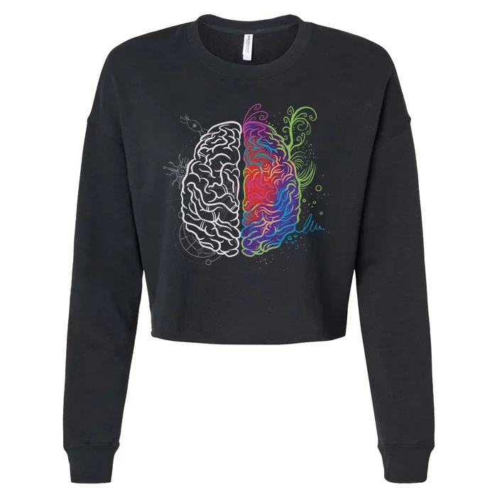 Artistic And Logical Brain Cropped Pullover Crew