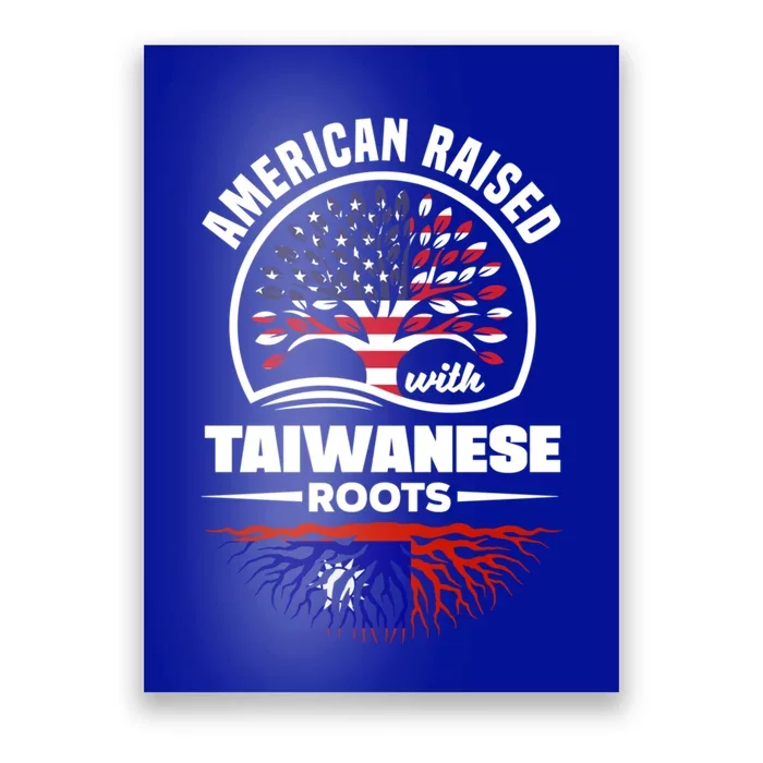 American Raised With Taiwanese Roots Taiwan Taiwanese Flag Gift Poster