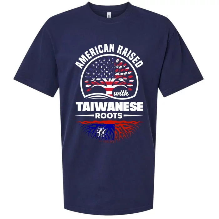 American Raised With Taiwanese Roots Taiwan Taiwanese Flag Gift Sueded Cloud Jersey T-Shirt