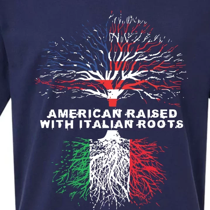 American Raised With Italian Roots Italy Sueded Cloud Jersey T-Shirt