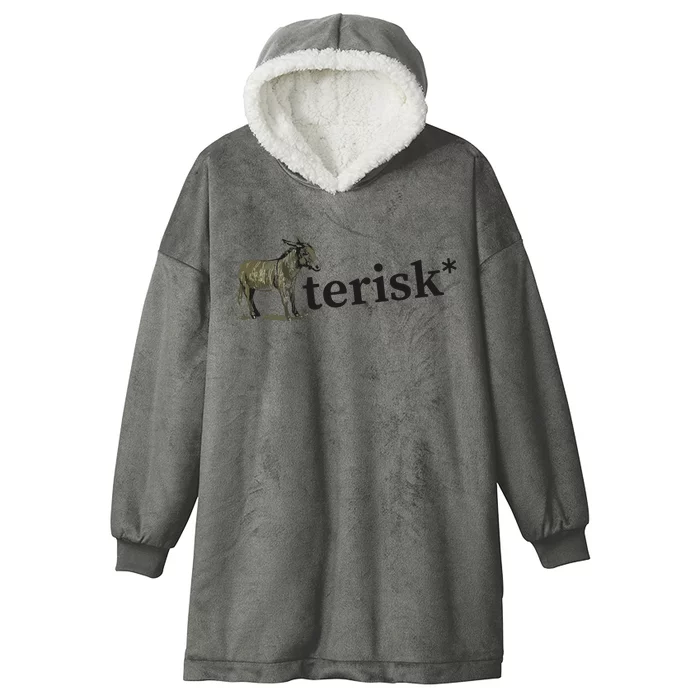 Asterisk Reader Writer Hooded Wearable Blanket