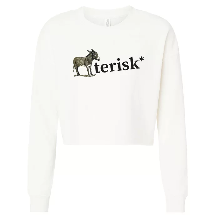 Asterisk Reader Writer Cropped Pullover Crew