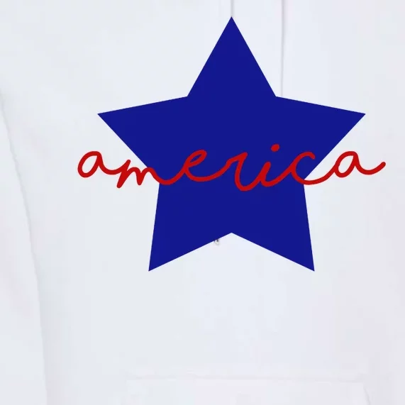 America Star 4th Of July Celebration Premium Hoodie