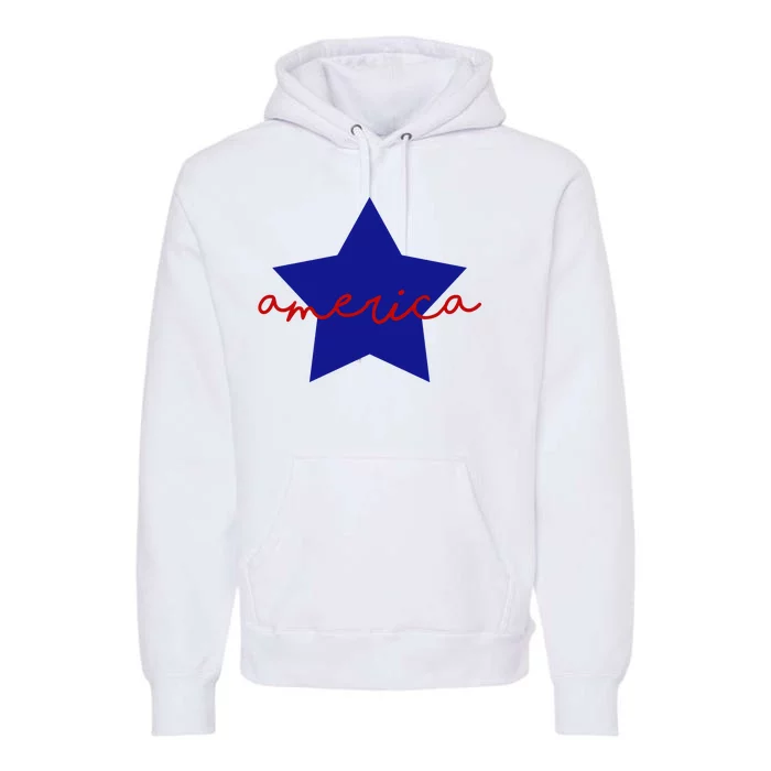 America Star 4th Of July Celebration Premium Hoodie