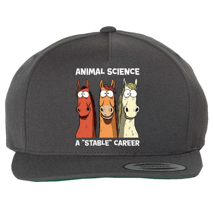 Animal Science A Stable Career Wool Snapback Cap