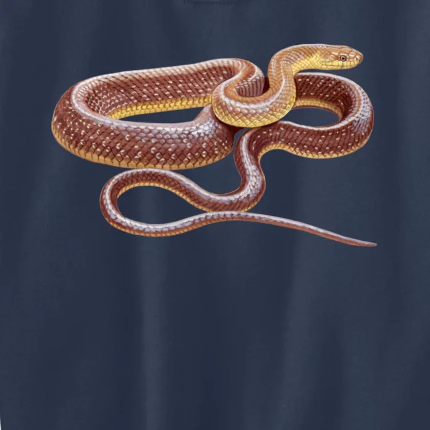 Aesculapian Snake Kids Sweatshirt