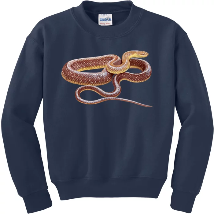 Aesculapian Snake Kids Sweatshirt