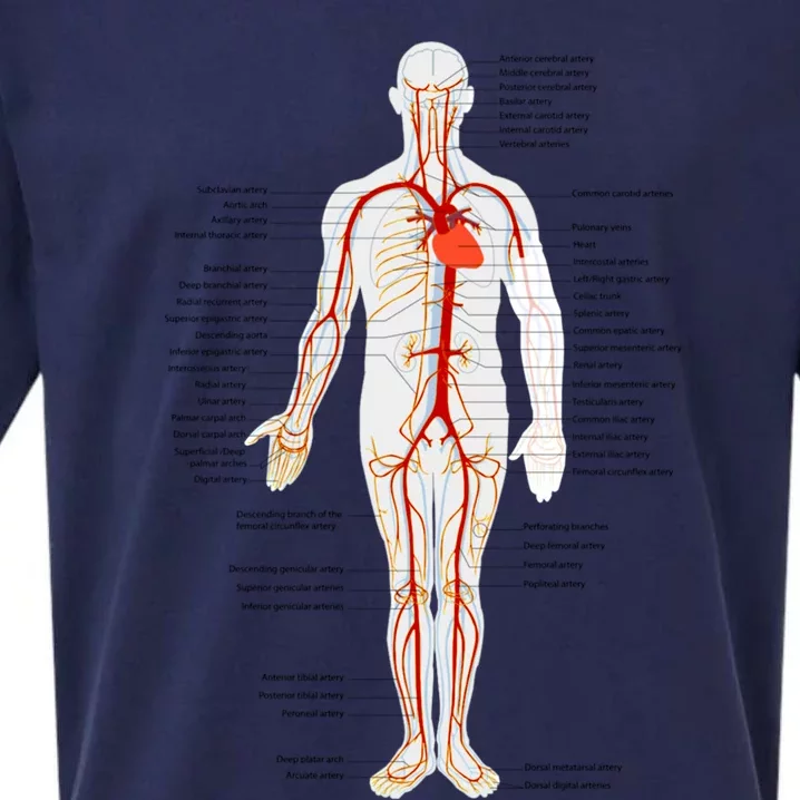 Arterial System Anatomy Heart Vascular Medical Gift Sueded Cloud Jersey T-Shirt