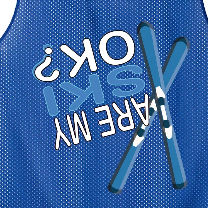 Apres Ski Are My Ski Ok? Ski Saying Funny Cool Gift Mesh Reversible Basketball Jersey Tank