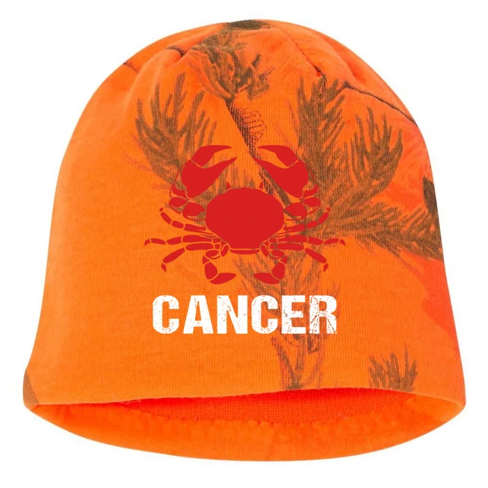 Astrological Sign Cancer Crab Zodiac Gift Kati - Camo Knit Beanie