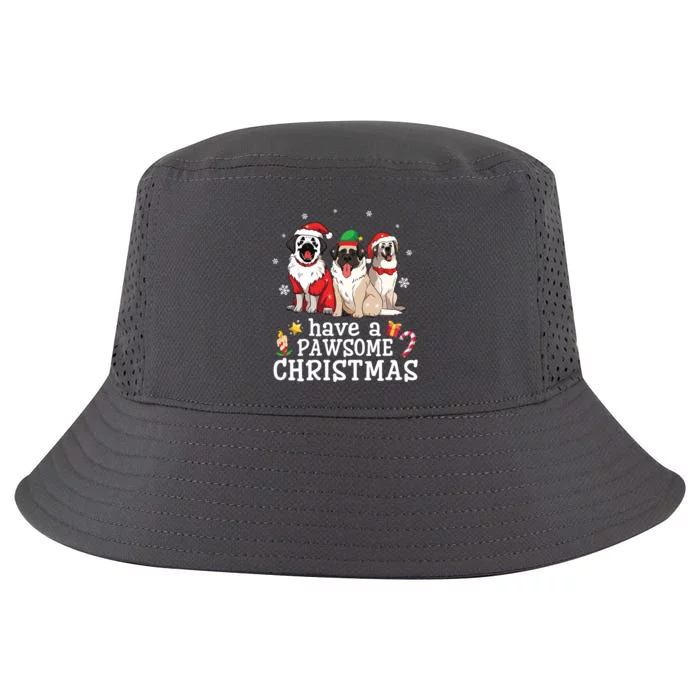 Anatolian Shepherd Dogs Merry Day Have A Pawsome Christmas Gift Cool Comfort Performance Bucket Hat