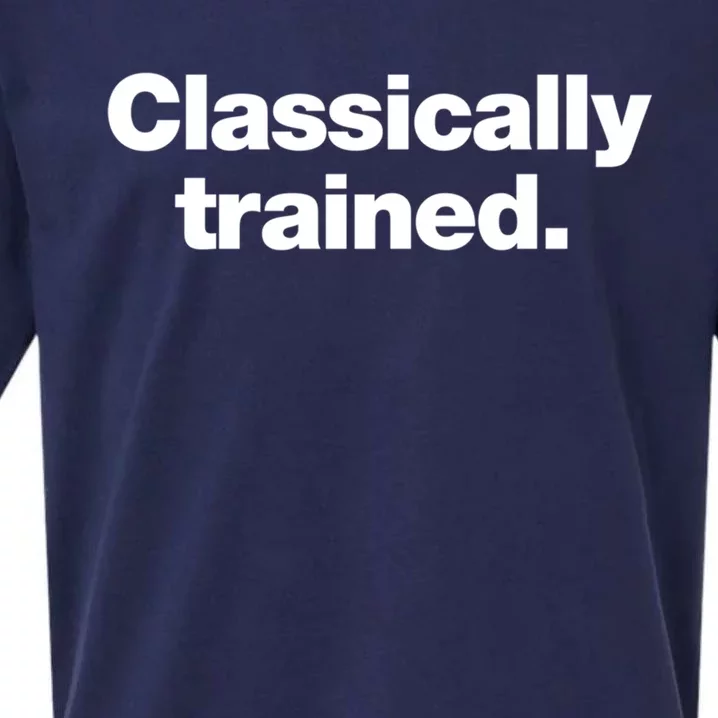 A Simple Design That Says Classically Trained Gift Sueded Cloud Jersey T-Shirt