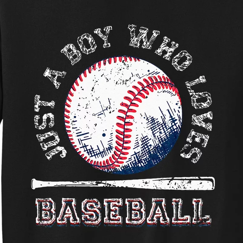 American Sport Fan Baseball Lover Batter Baseball Tall Sweatshirt