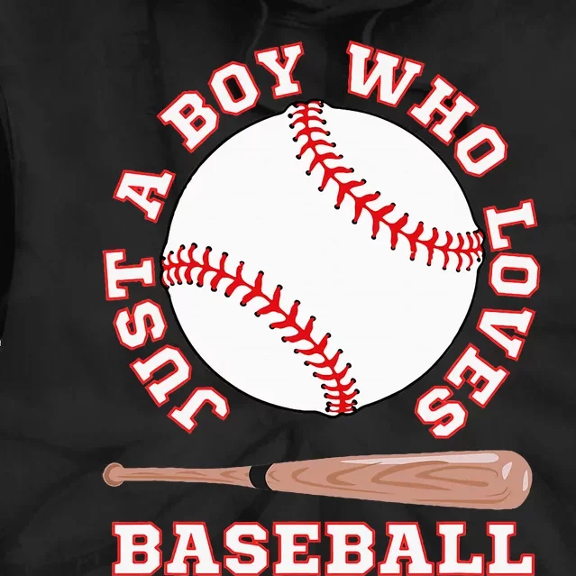 American Sport Fan Baseball Lover Batter Baseball Tie Dye Hoodie