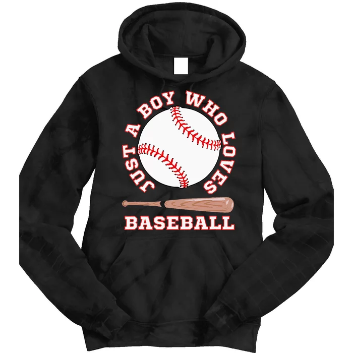 American Sport Fan Baseball Lover Batter Baseball Tie Dye Hoodie