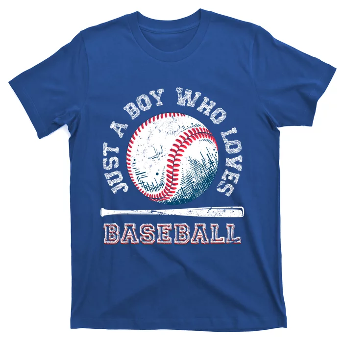 American Sport Fan Baseball Lover Batter Baseball Cute Gift T-Shirt