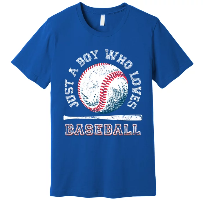 American Sport Fan Baseball Lover Batter Baseball Cute Gift Premium T-Shirt