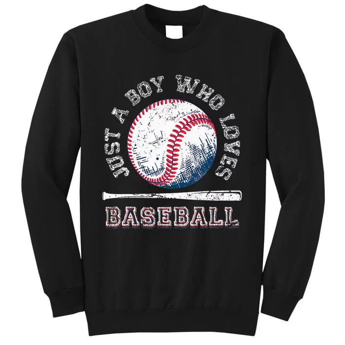 American Sport Fan Baseball Lover Batter Baseball Sweatshirt