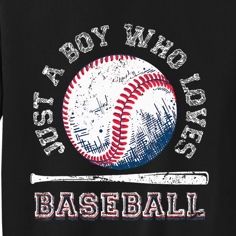 American Sport Fan Baseball Lover Batter Baseball Tall Sweatshirt