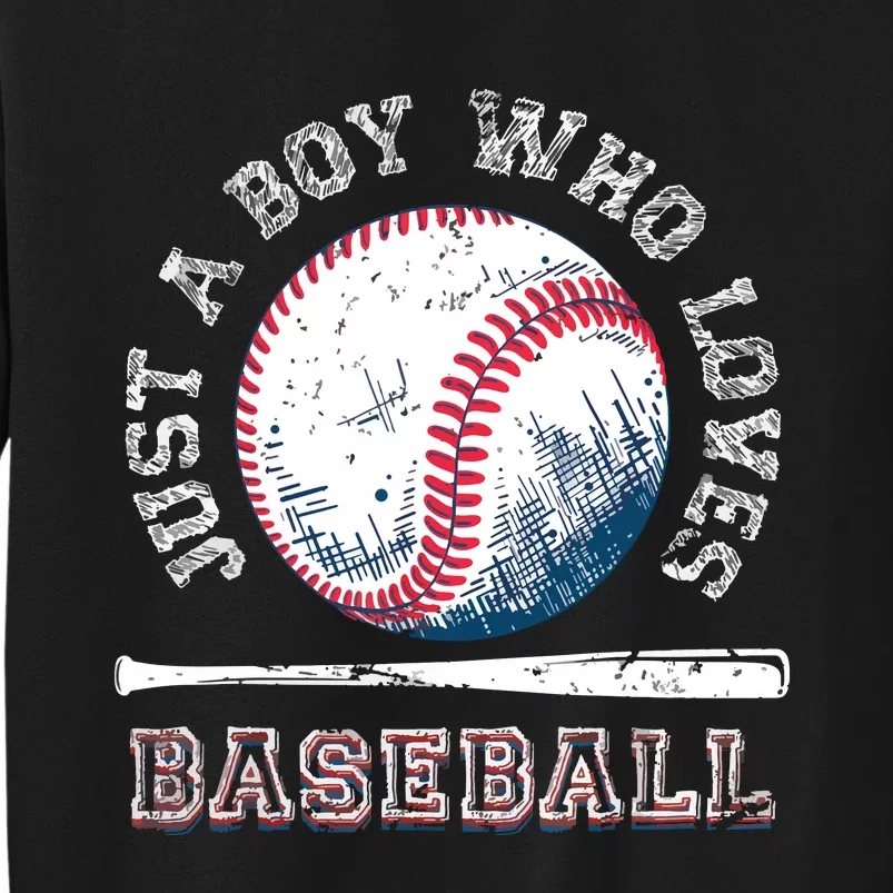 American Sport Fan Baseball Lover Batter Baseball Sweatshirt