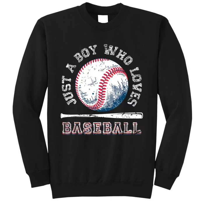 American Sport Fan Baseball Lover Batter Baseball Sweatshirt