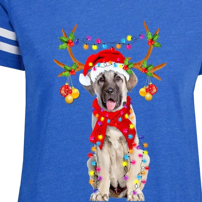 Anatolian Shepherd Gorgeous Reindeer Christmas Lights Tree Enza Ladies Jersey Football T-Shirt