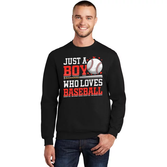 American Sport Just A Bo_y Who Loves Baseball Gifts Sweatshirt