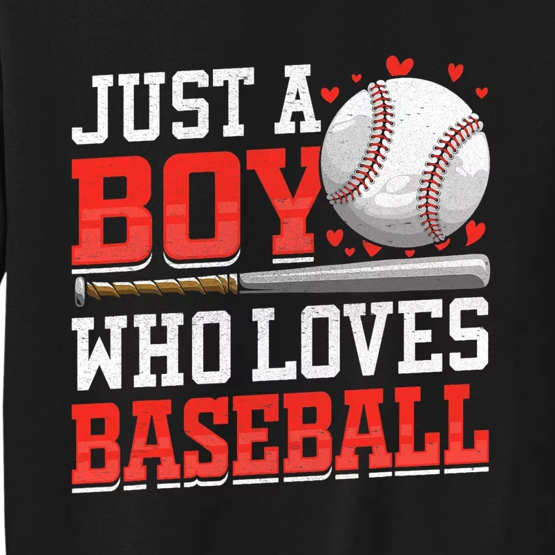 American Sport Just A Bo_y Who Loves Baseball Gifts Sweatshirt